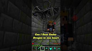 Can I Beat Minecrafts HARDEST Boss With ONE Heart [upl. by Averell]