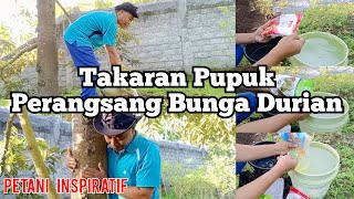 Takaran Pupuk Perangsang Bunga Durian [upl. by Neille899]