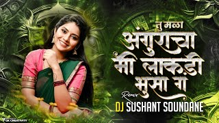 तु मळा अंगुराचा मी लाकडी भुसा ग  Tu Mala Anguracha Me lakdi Bhusa Ga  DJ Sushant Soundane [upl. by Mcintosh]