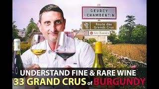 What makes the 33 Grand Crus of Burgundy Unique  Best Bourgogne Wines Explained [upl. by Lehsreh]