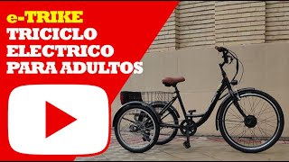 Triciclo Eléctrico para Adultos con Motor 250W  eTrike Fotona Mobility [upl. by Nehgaem599]