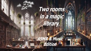 Study Ambience  Magic Library  ASMR  Quiet Music [upl. by Fortin65]