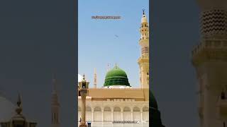 Faslon ko takalluf quranurdutranslation love quranurdu islamicprayer [upl. by Grega527]