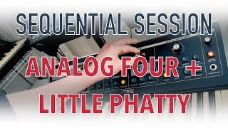 Arjen Schat  Sequential Session Analog Four  Little Phatty [upl. by Sylado]