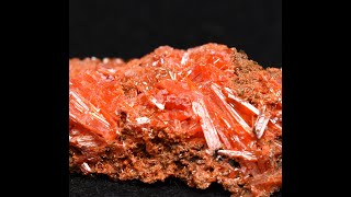 NEW ARRIVAL Crocoite from Tasmania Australia [upl. by Peri111]