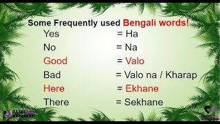 Learn Some Frequently Used Bengali Words in English Part 1 [upl. by Doris]