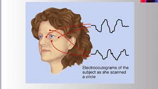 52 Psychophysiological Activity [upl. by Gurney845]