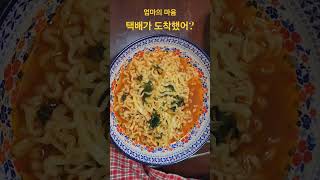 엄마 마음 전라도김치전라도파김치전라도사투리도시생활koreanfood 도시로간X [upl. by Isolt682]