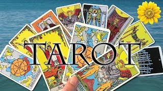 Einführung in die Welt des Tarot  Infoabend zum Webinar  Heilpraktikerschule Isolde Richter [upl. by Ekaterina809]