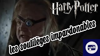 Doublage Harry Potter scène Les Sortilèges Impardonnables [upl. by Gisella]