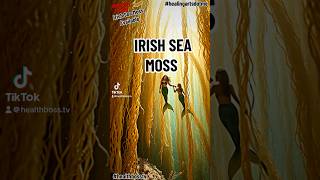 Irish Sea Moss [upl. by Golightly]