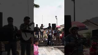 Huaynos Cusqueños  Charango Peruano [upl. by Masuh226]