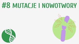 Mutacje i nowotwory 8  Genetyka [upl. by Seidel]