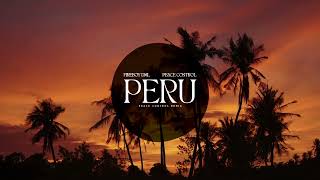 Fireboy DML  Peru Peace Control Remix [upl. by Linus]