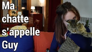 ADOPTER UN CHAT  Fautil fautil pas [upl. by Ricki870]