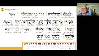 Ki Tavo  Torah Portion Hebrew Study [upl. by Euhsoj880]