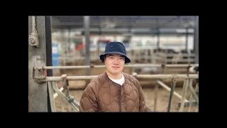 The thoughts about automation of dairy farm  DeLaval VMS Classic Yesol Korea [upl. by Heiner]