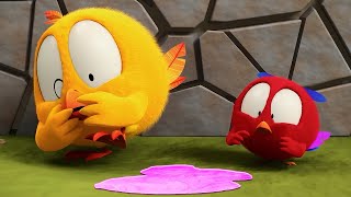 Wheres Chicky Funny Chicky 2023  STRANGE ANIMAL  Cartoon in English for Kids  New episodes [upl. by Ellekcir]