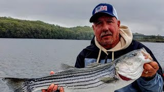 Striper Fishing Housatonic River in the Danger Zone [upl. by Kcirderfla]