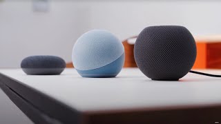 Echo Dot vs HomePod vs Google Nest  Which Offers the Best Voice Assistant Experience [upl. by Trish354]