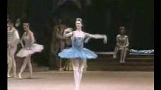 Svetlana Zakharova Bolshoi Ballet Videobaletnet collectio [upl. by Solraced409]