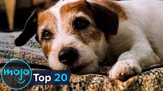 Top 20 Saddest Animal Deaths in Movies [upl. by Eilagam]