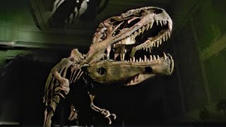 Unearthing the Killer Elite Predators Beyond TRex  Dinosaurs Inside amp Out [upl. by Fuller]