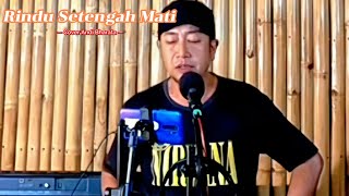 Rindu Setengah Mati  dMasiv  Cover by Andi Bharata [upl. by Itirahc863]