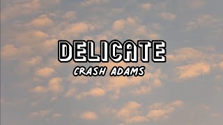 Crash Adams  Delicate Lyrics [upl. by Naitsirc]