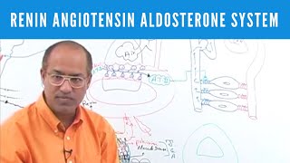 Renin Angiotensin Aldosterone System  RAAS👨‍⚕️ [upl. by Acinorrev]