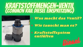 Diesel Common Rail Kraftstoffmengen Ventil tauschen [upl. by Ratib]