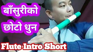 Nepali Basuri Ko Dhun Short Flute Intro [upl. by Sellers841]