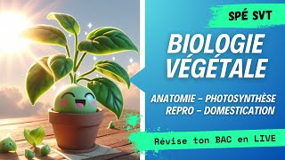 Révisions BAC spé SVT  BIOLOGIE VÉGÉTALE [upl. by Pelson]