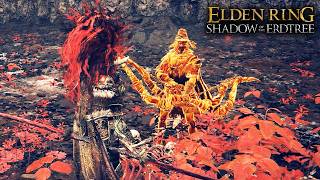 The Best Voice Acting in Elden Ring Shadow of the Erdtree Igon vs Bayle the Dread [upl. by Ariamo]