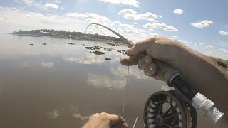 Georgia Redfish on the Fly [upl. by Raamal423]