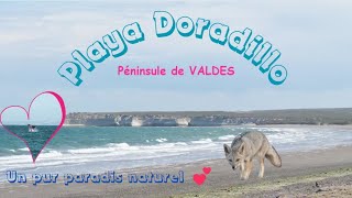 Playa Doradillo une perle naturelle incroyable❣️🌎 Voyage famille française Amérique du sud [upl. by Yarled]