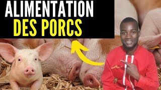 ALIMENTS des PORCS pour une BONNE CROISSANCE NOURRITURE des porcs pour un bon rendements INVESTIR [upl. by Llennaj]