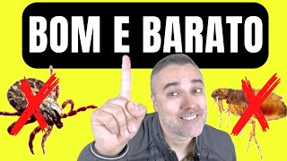 COMO ACABAR com ❌PULGAS ❌CARRAPATO ✅BARATO ✅RÁPIDO [upl. by Perry]