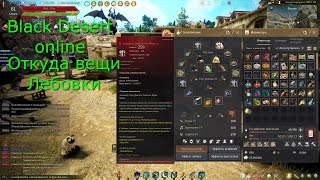 Откуда Дорогие вещи у новичка Black Desert [upl. by Atinehs]