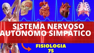 SISTEMA NERVOSO AUTÔNOMO SIMPÁTICO FISIOLOGIA DE GUYTON  SISTEMA NERVOSO  NEUROFISIOLOGIA [upl. by Anahcar]