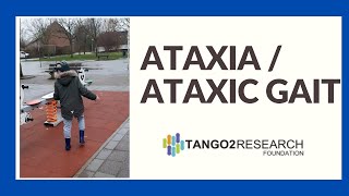 Ataxia or ataxic gait [upl. by Fisch117]