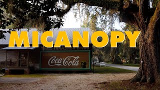 MIcanopy Florida Good Morning From The Town That Time Forgot [upl. by Bernardina479]