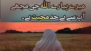 Mere pyare Allag g mjhy ap se behad Muhabat hay  Allah quotes in urdu  best islamic quotes [upl. by Hock]