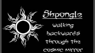 Shpongle  Walking backwards through the cosmic mirror [upl. by Weywadt934]