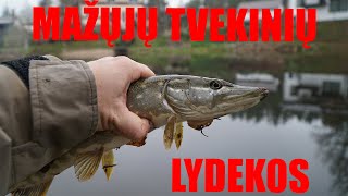 Mažieji tvenkiniai ir lydekos [upl. by Anagnos813]