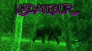 Elephant attack at Kadambur 🐘 Kadambur sathyamangalam [upl. by O'Shee]