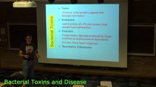 Bacterial Toxins [upl. by Alcock]