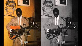 Elmore James  The Sky Is Crying [upl. by Diana]