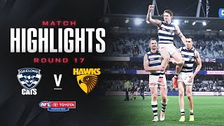 Geelong Cats v Hawthorn Highlights  Round 17 2024  AFL [upl. by Firooc432]