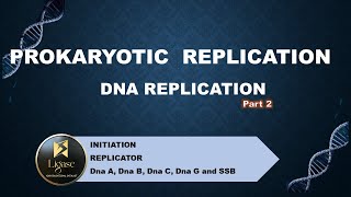 PROKARYOTIC REPLICATION csirnet lifescience molecularbiology [upl. by Amekahs]